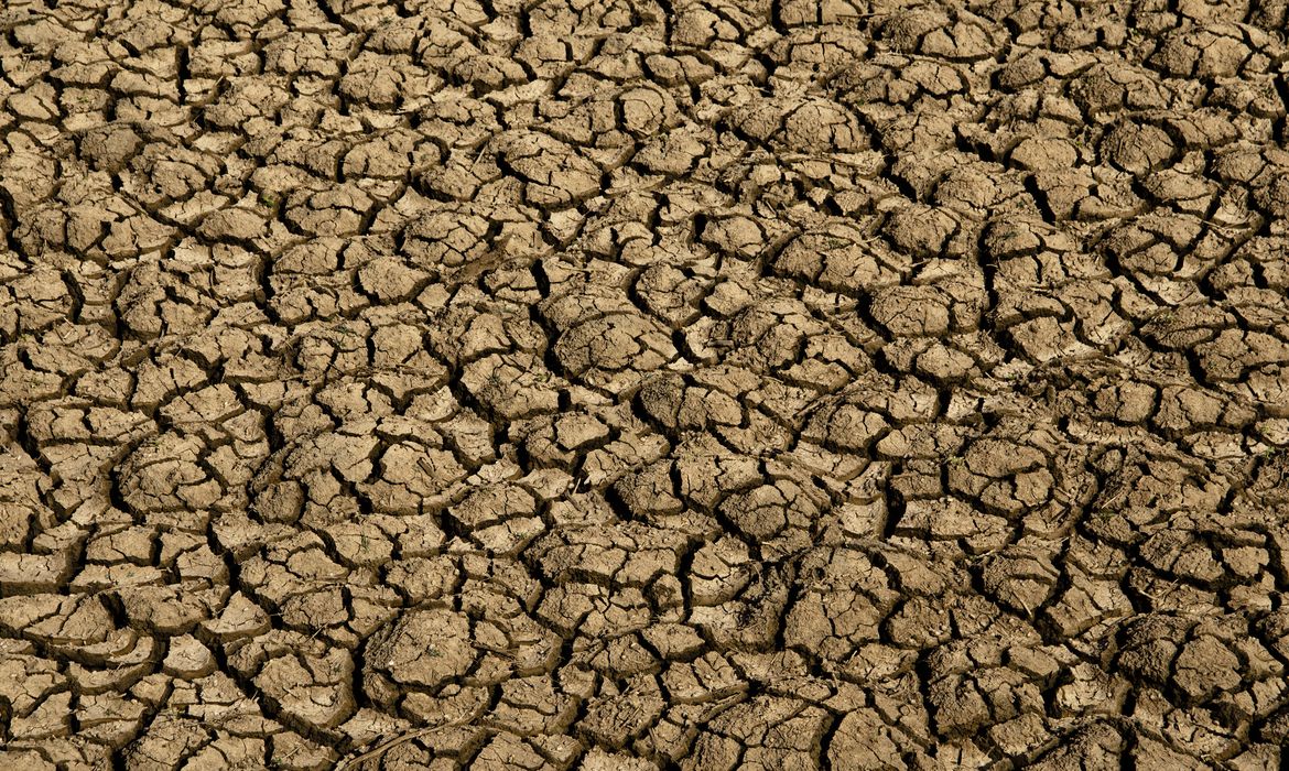 Risco de desertificação no Brasil ameaça segurança hídrica e alimentar