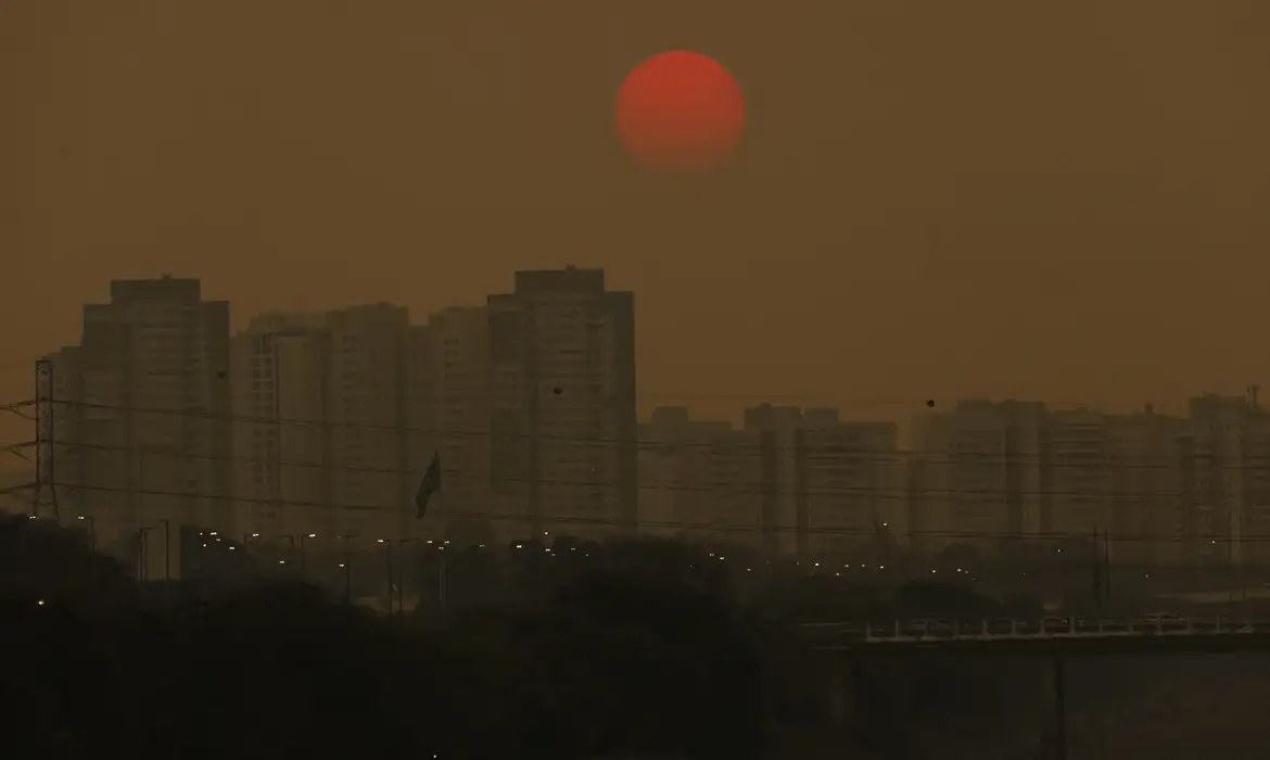 Relatório traz soluções para reduzir emissões de metano