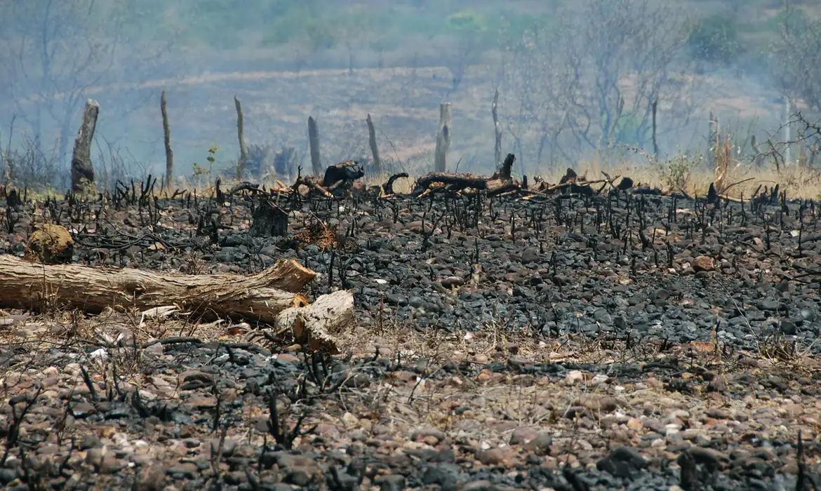 Sociedade civil rejeita agenda excludente aprovada no início da COP17