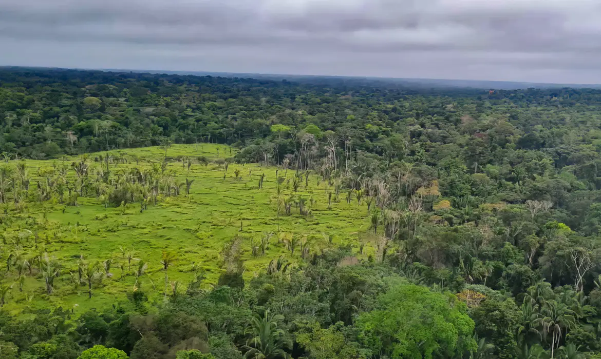 Imazon aponta desmatamento zero em 60% de terras indígenas na Amazônia