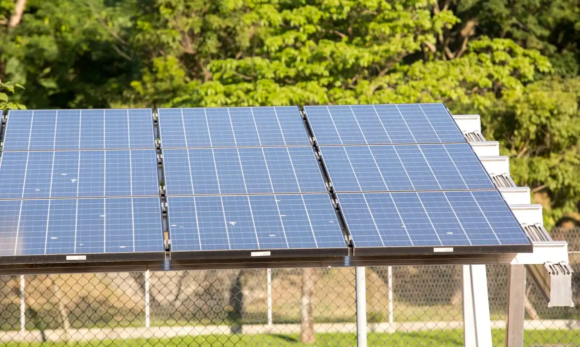5º leilão do Eco Invest atrai quase R$ 50 bi para investimentos verdes